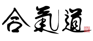 Aikido
